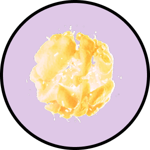 SNZ 1969™ (BACILLUS COAGULANS)