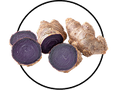 Black Ginger Root Extract
