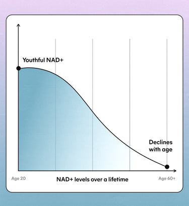 what is NAD+?