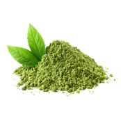 GREEN TEA EXTRACT